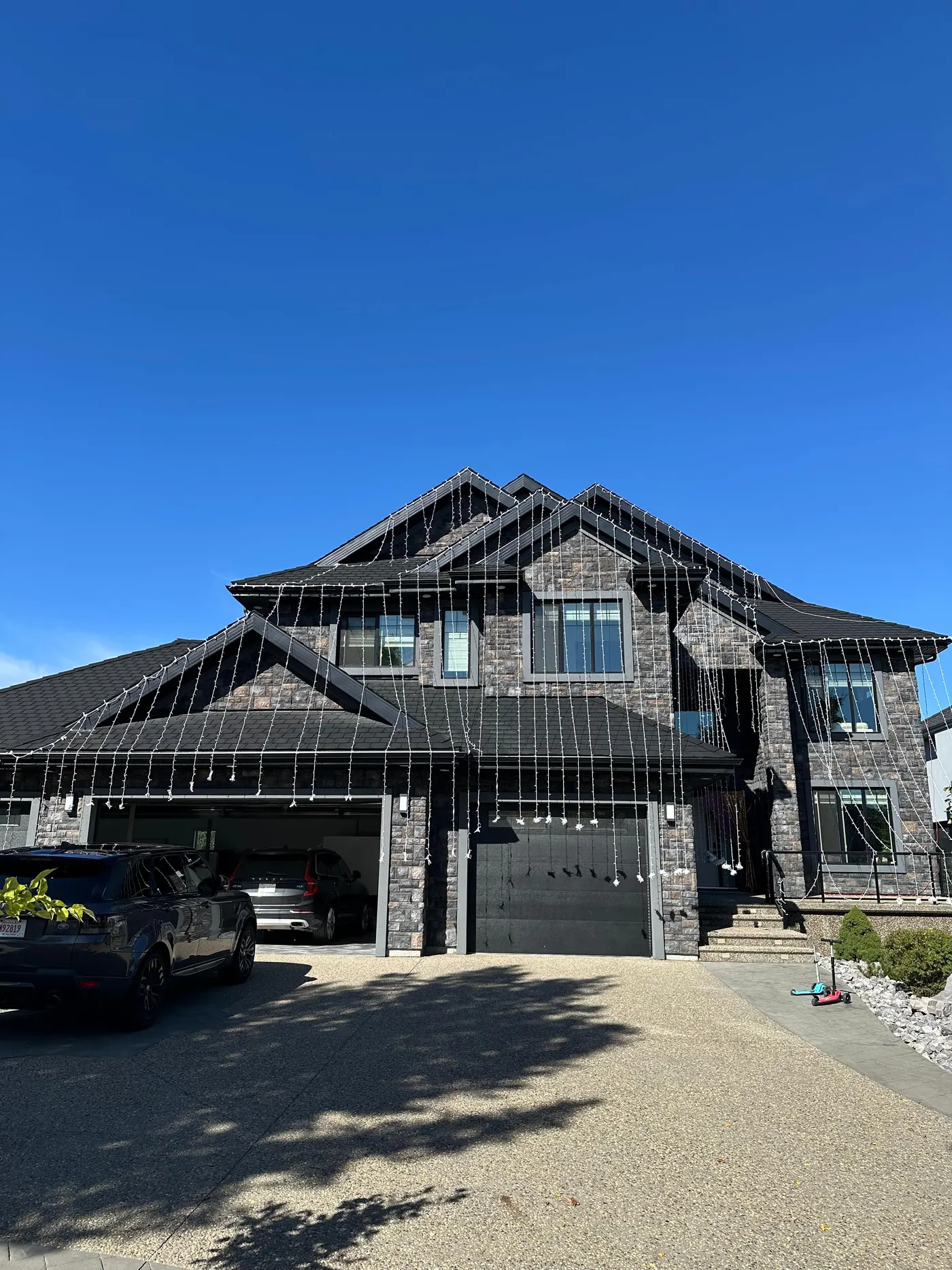 Backyard Overhead Canopy Lights installation